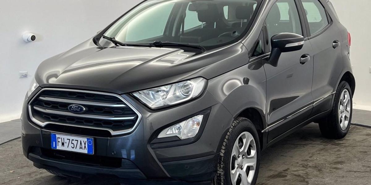 FORD EcoSport  1.0 ecoboost business s&s 125cv my18 - Usato - FORD